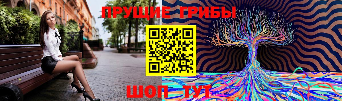 A-PVP Кохма